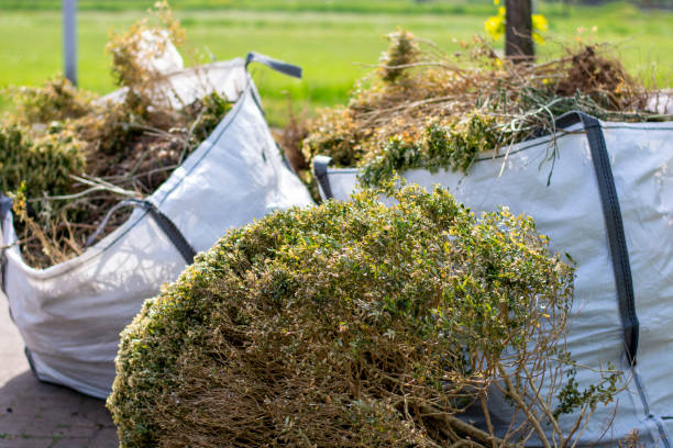Best Basement Cleanout Services  in Wadley, GA